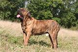 FILA BRASILEIRO 110